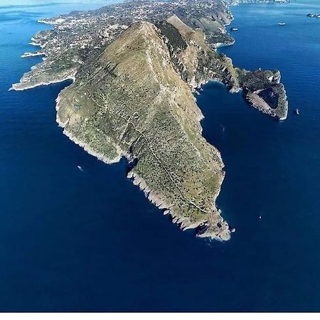 Green Apartment In Sorrento Coast Масса-Лубренсе Экстерьер фото